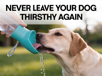 Thirsty Paw